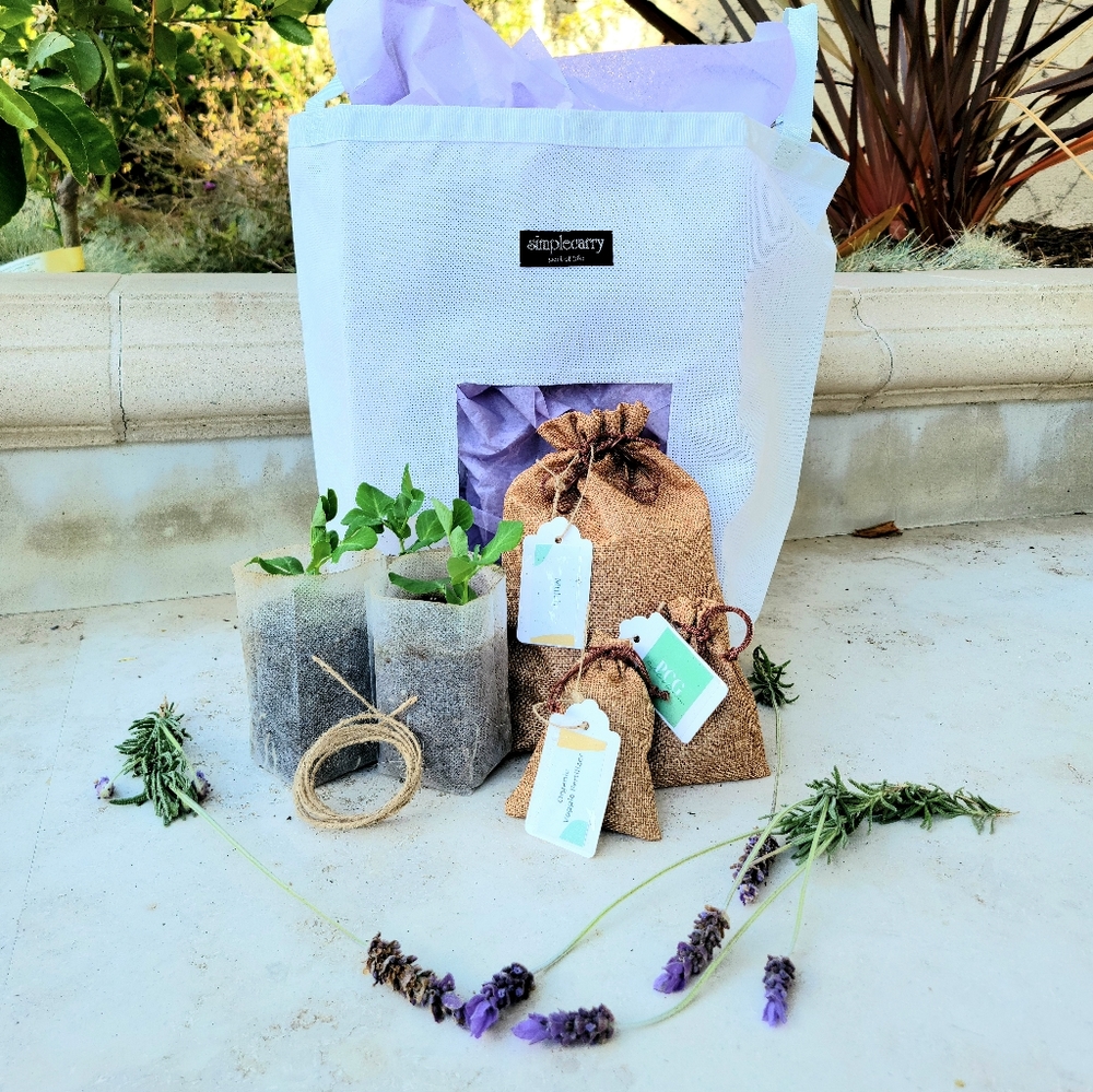 Live Sweet Pea Grow Set (14 Pieces)